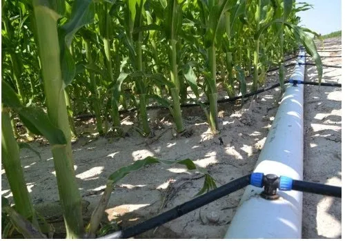 Toprak üstü Sulama - 1