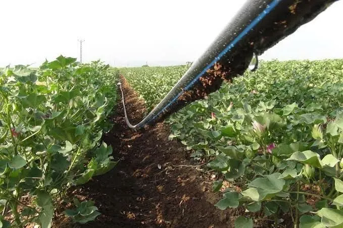 Toprak üstü Sulama - 2